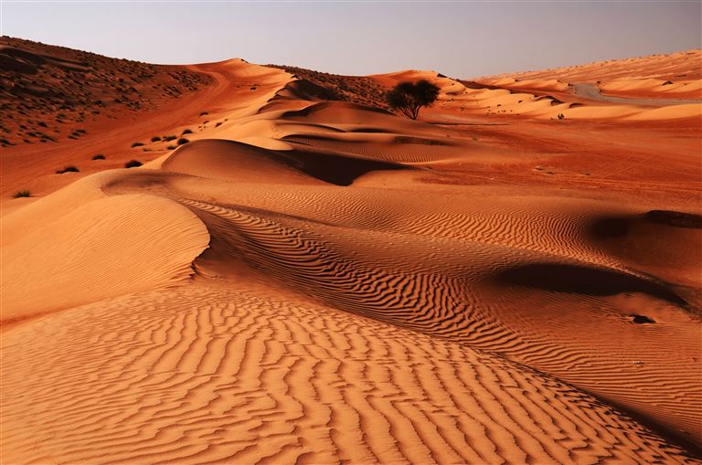 Wüsten, Wadis und Meer © Pavel Svoboda/adobestock